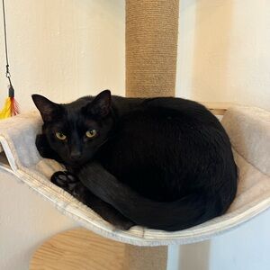 Meet your Posher, Polina